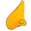 Slova s obrázky